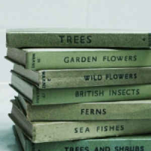 Profile avatar image for Kingsley