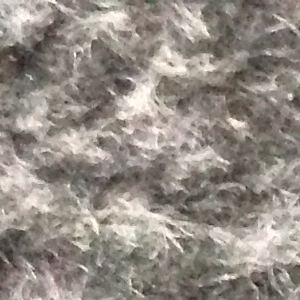 Profile avatar image for Ooo