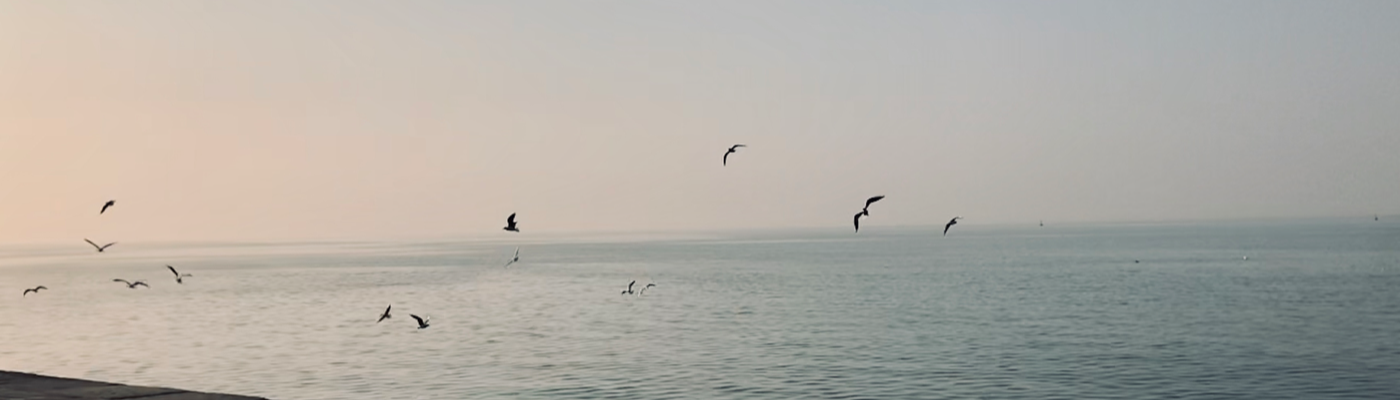 Profile banner image for Polaroid