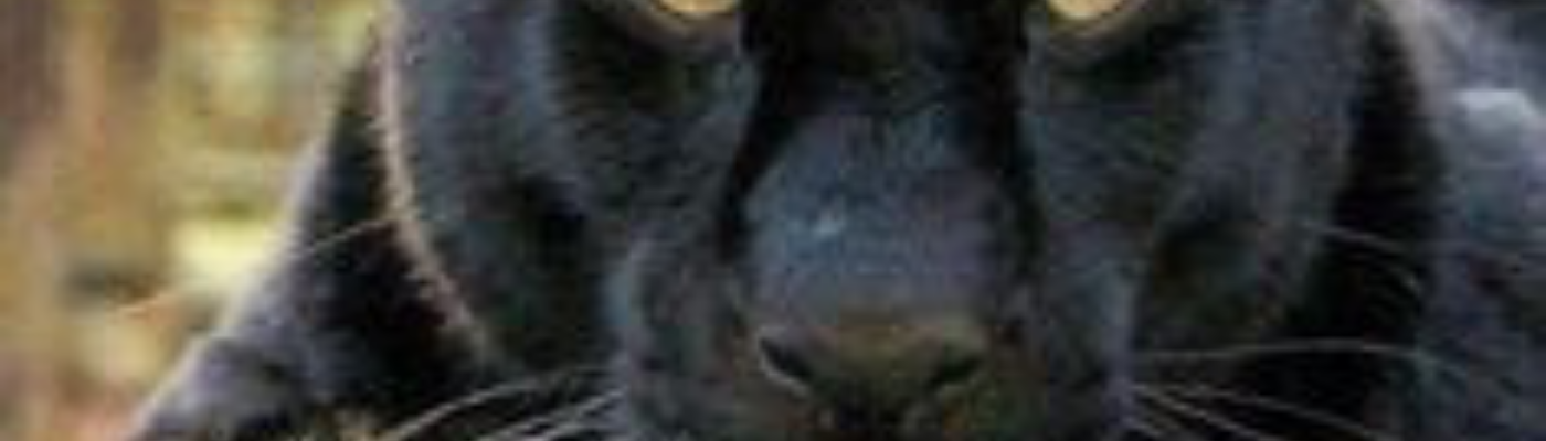 Profile banner image for kenn712