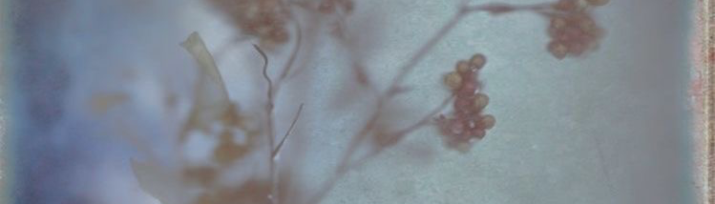 Profile banner image for pensandswords