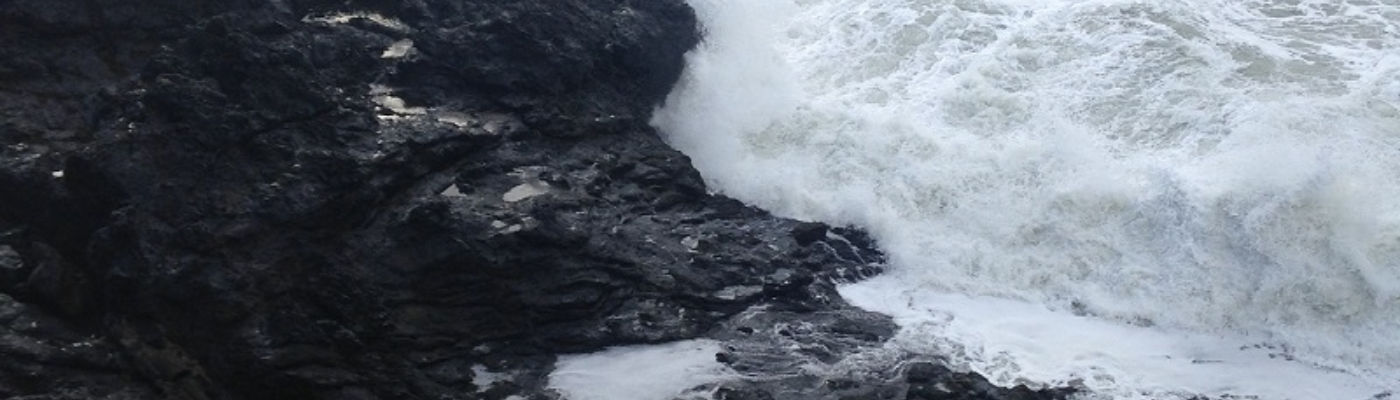 Profile banner image for tashanoel