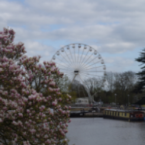 Profile avatar image for AGirlsRamblings