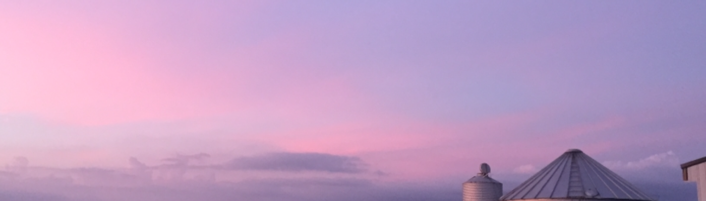 Profile banner image for nancyjo