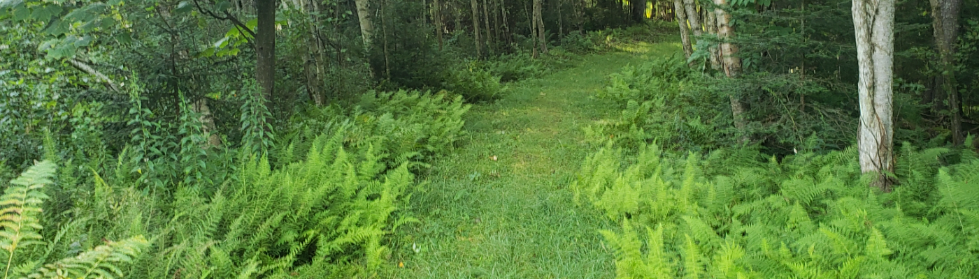 Profile banner image for dctezcan