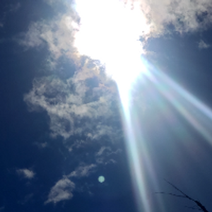 Profile avatar image for dctezcan