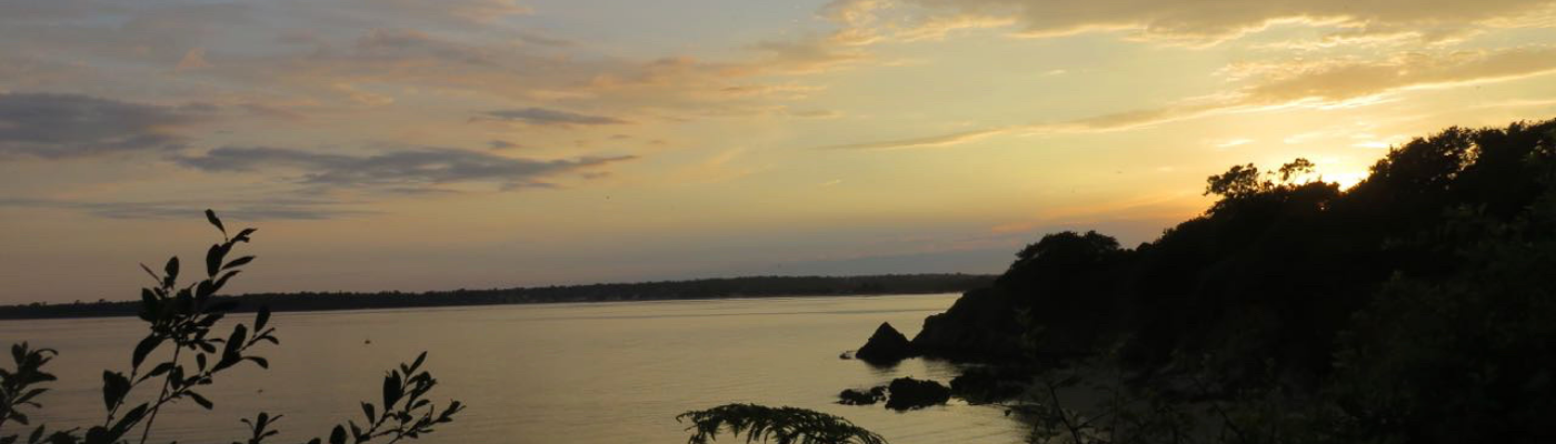 Profile banner image for Gypsy