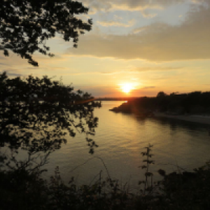 Profile avatar image for Gypsy