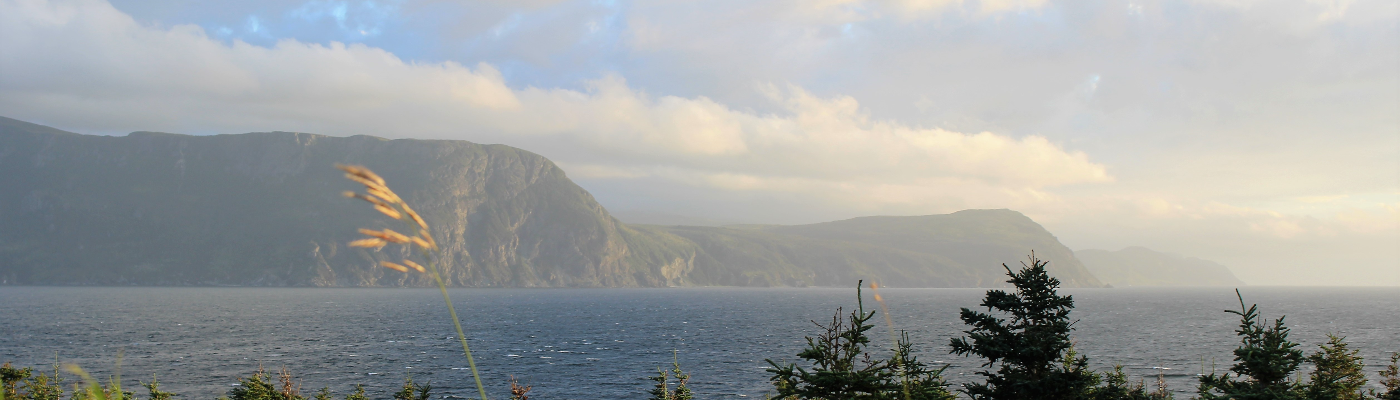 Profile banner image for nshears