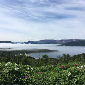 Profile avatar image for nshears