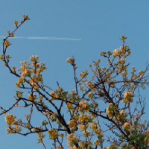 Profile avatar image for hotchillisauce