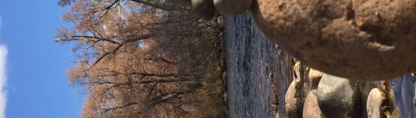 Profile banner image for BroNoah