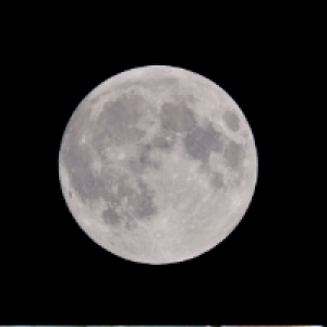 Profile avatar image for kimoletr