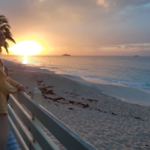 Profile avatar image for Nerium_Oleander