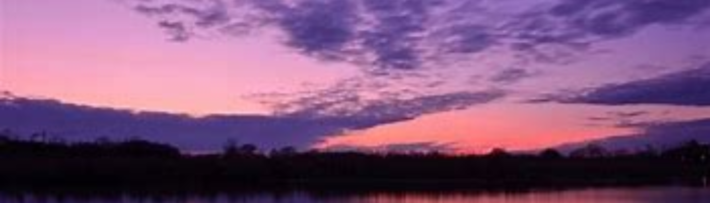 Profile banner image for _Atsin_