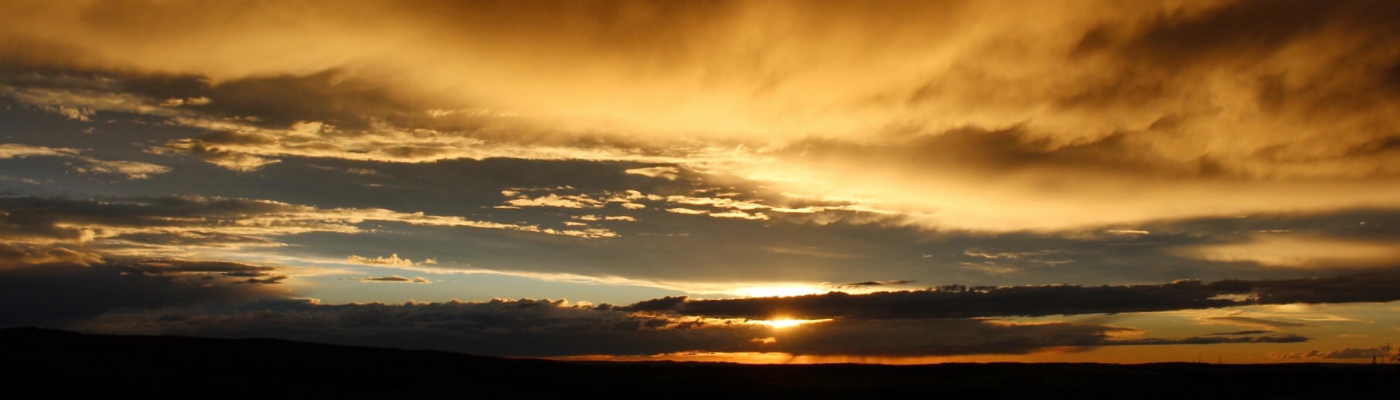 Profile banner image for savvyb