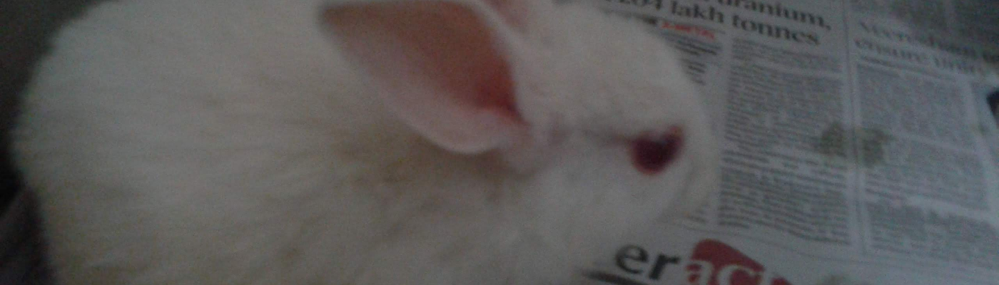 Profile banner image for inkless_pen