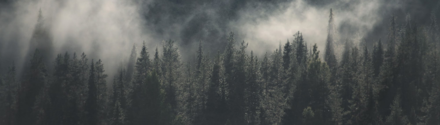 Profile banner image for GordonHH