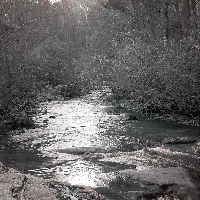 Profile avatar image for SteelTalon