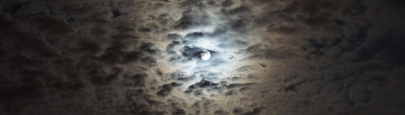 Profile banner image for Robins