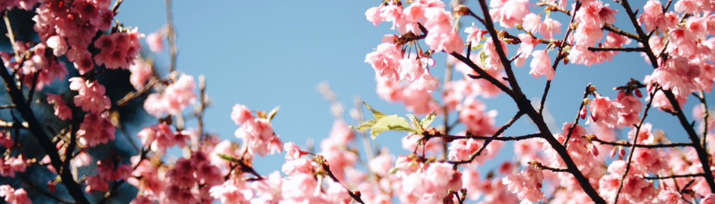 Profile banner image for briellejee