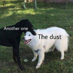 Profile avatar image for Abracadumb