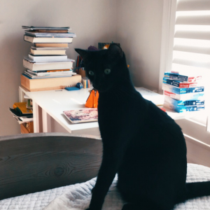 Profile avatar image for Pen_Paper