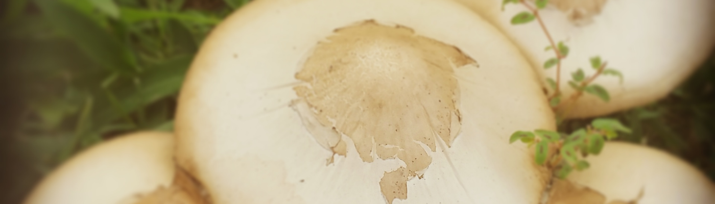 Profile banner image for Justmythoughts