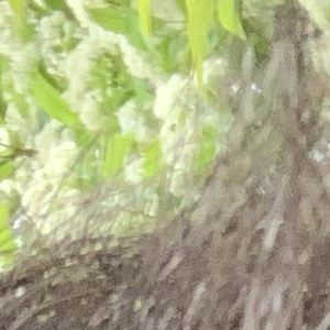 Profile avatar image for Sorta_Smelly