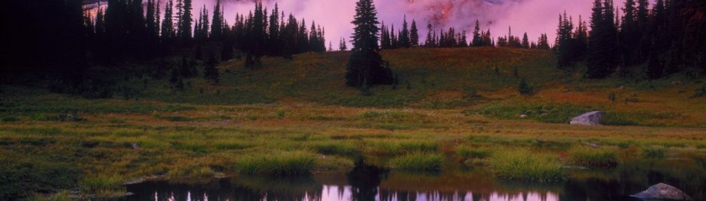 Profile banner image for smackenzie