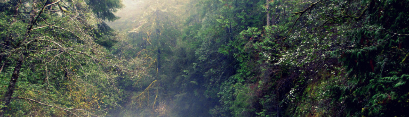 Profile banner image for ShayBertram