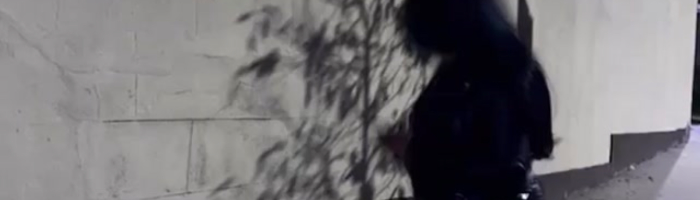 Profile banner image for Bellee