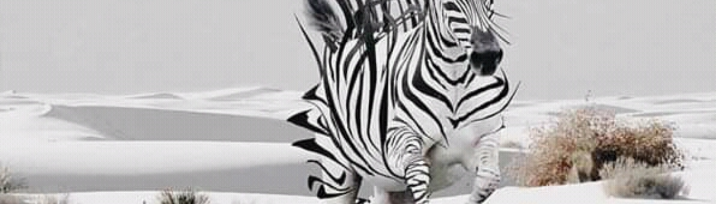 Profile banner image for Eyeti