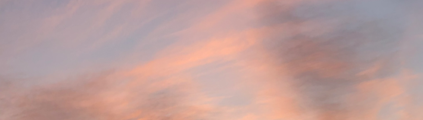 Profile banner image for misslittle