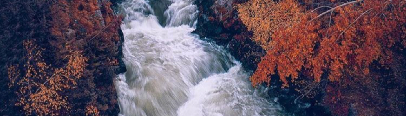 Profile banner image for ElyseFields