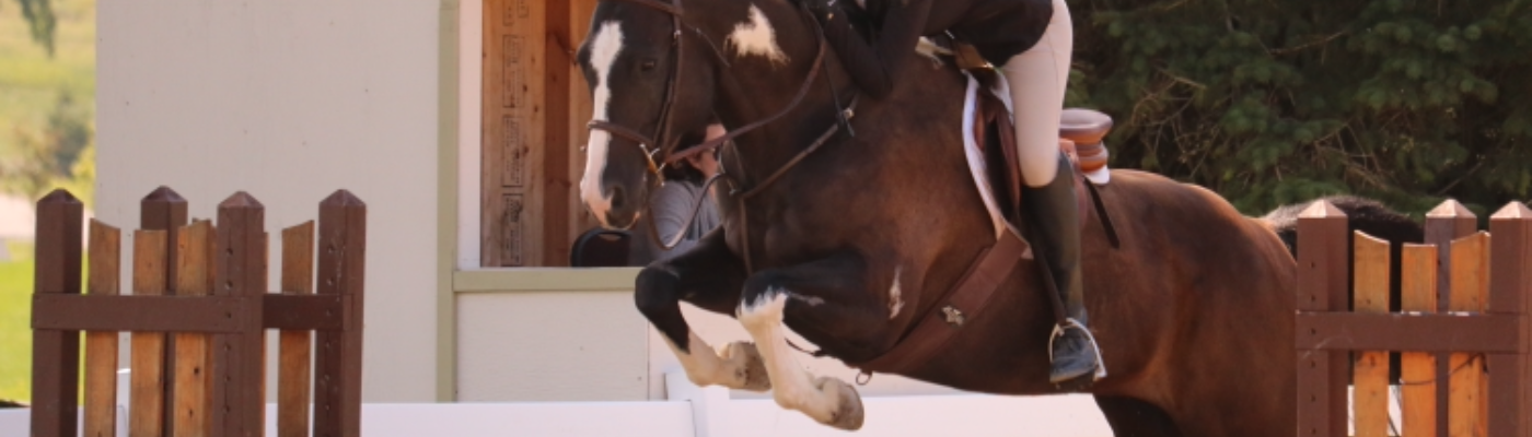 Profile banner image for BrooklynK