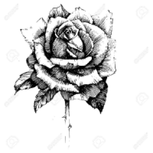 Profile avatar image for Inky_Rose