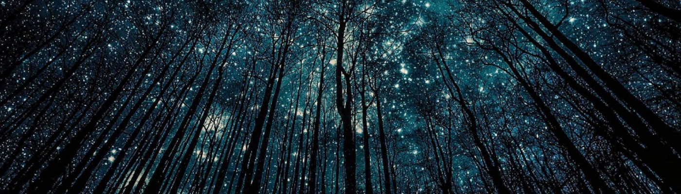 Profile banner image for DJBlackford