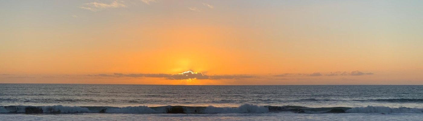 Profile banner image for wiltedroses