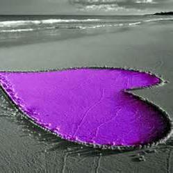 Profile avatar image for spots_to_love