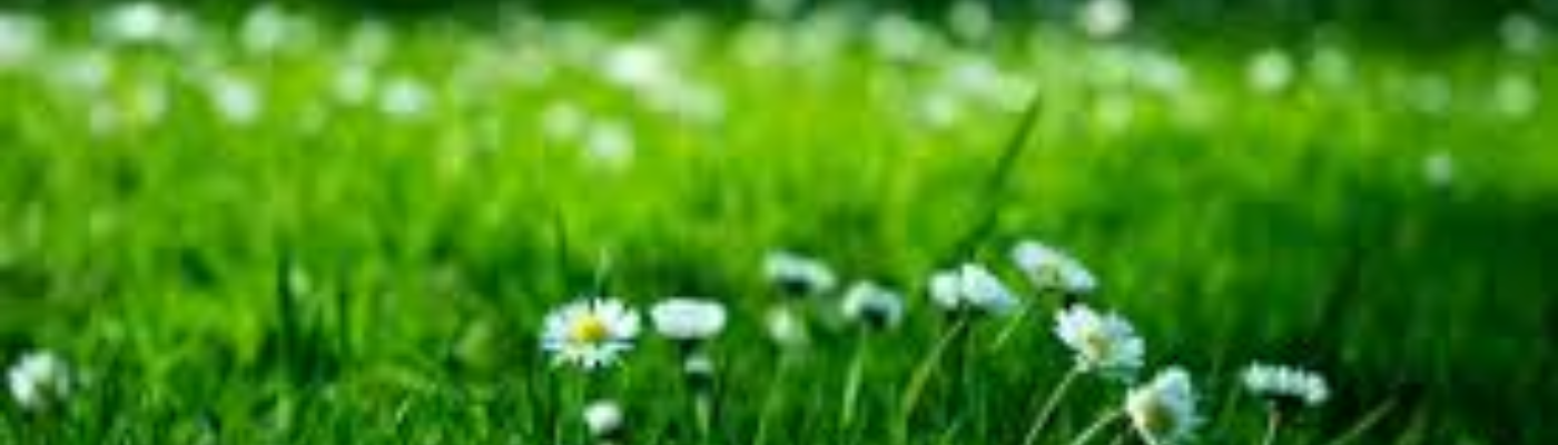 Profile banner image for justanotherpoet