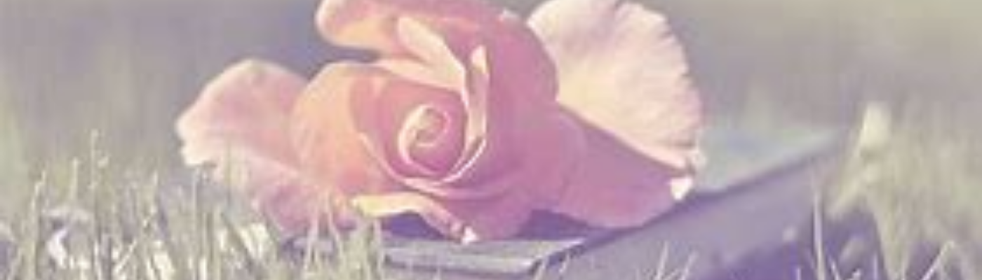 Profile banner image for Shoshanna