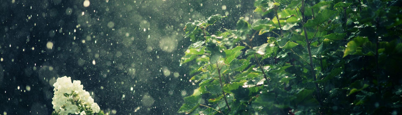 Profile banner image for LaminateDust216