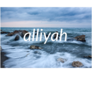 Profile avatar image for Alliyah