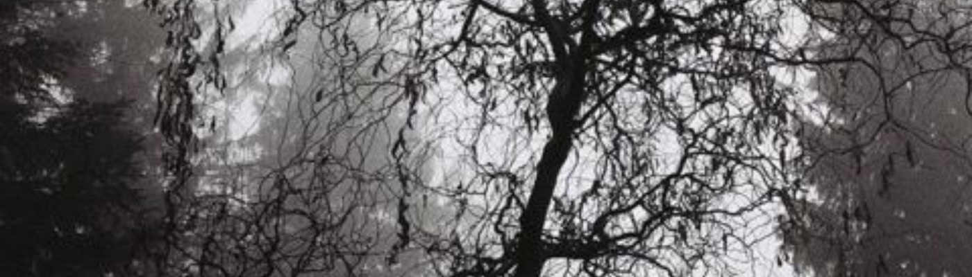 Profile banner image for AlienAnna