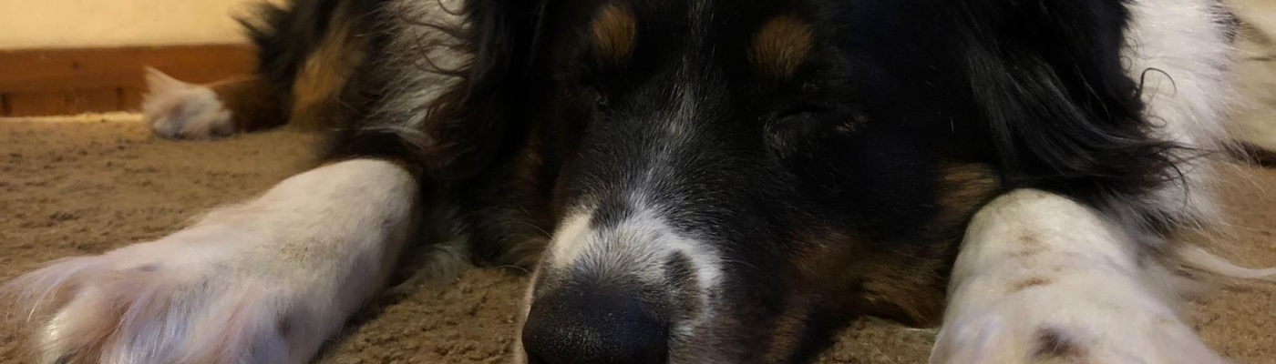 Profile banner image for rowanhuegerich