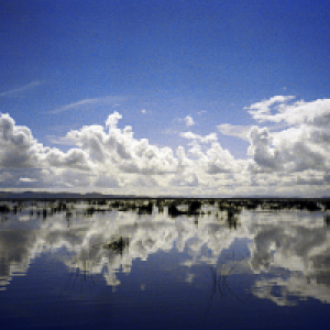 Profile avatar image for Shellsong