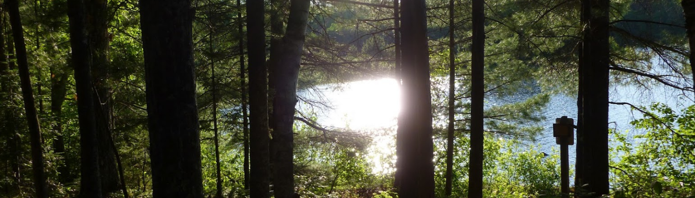 Profile banner image for ryandebraal