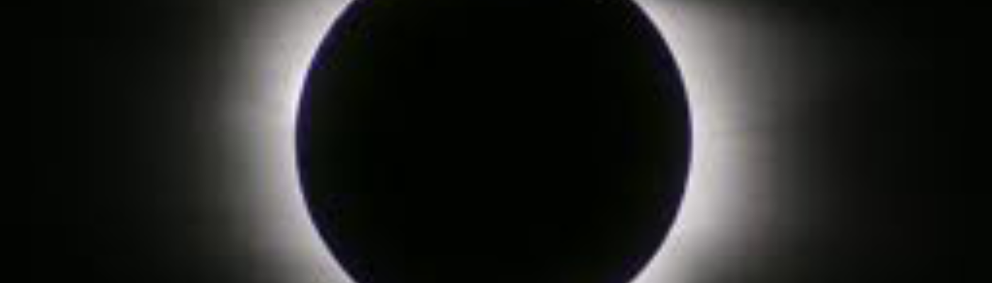 Profile banner image for dlm