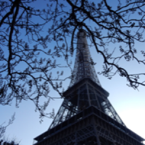 Profile avatar image for ELWarner